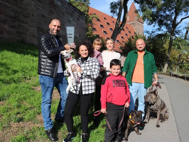 Gehorsamer Hund Die Hundeschule für Menschen
